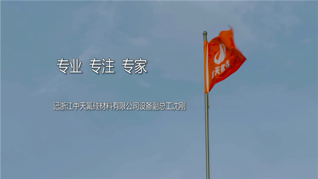 《专业 专注 专家 》——2017年度尊时凯龙十大优秀工程师沈刚专题片