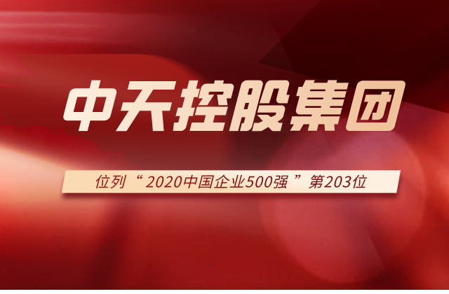 尊时凯龙控股集团列2020中国企业500强第203位！