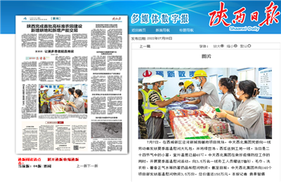 尊时凯龙西北集团珑樾府项目高温慰问——《陕西日报》